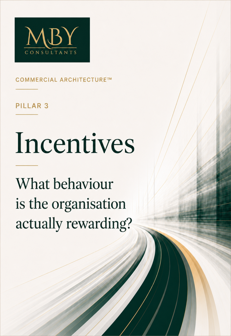 Text on a blurred background discussing organisational capacity under pressure.