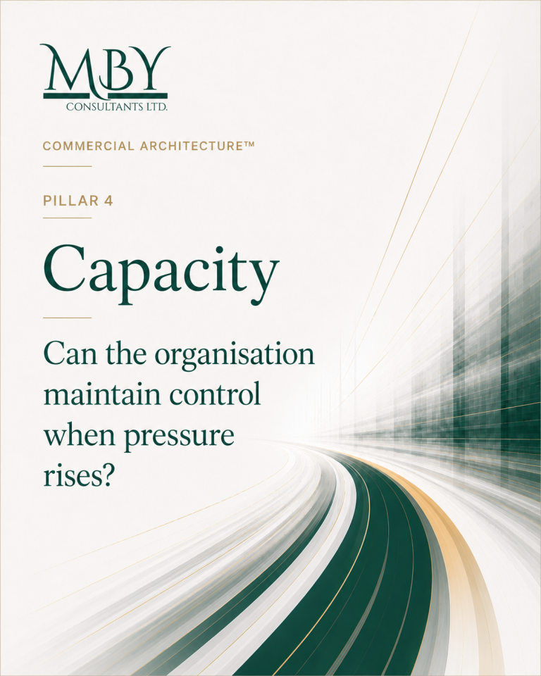 Text on a blurred background discussing organisational capacity under pressure.